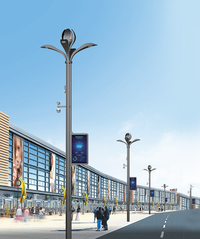 ZHLD-039 Умные уличные фонари