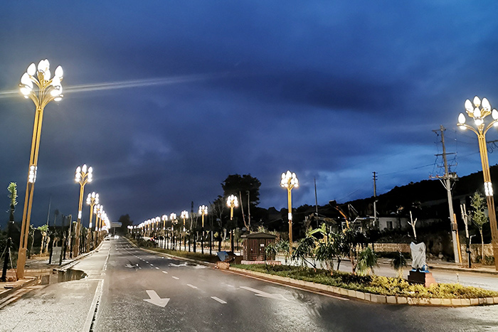 Золотой наюн порт жизненной силы